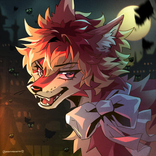 Shura Wolf for Paxerle